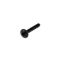 Screw Hilo 4x20 Tmt Fr Mg Ph2 J00258000