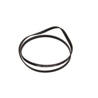 Cinghia Wm64 J00118164