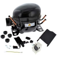 Compressore Tg1117y 3rd Tl Sp 220-240v/5 J00613407
