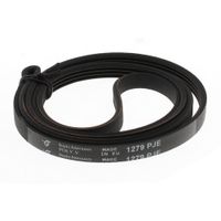 Cinghia Elastica J4 1279/80/85 Mm J00056980